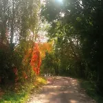 Na Mazurskim Wzgorzu Nad Jeziorem Дом отдыха Mertinsdorf